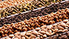 Röster 106: Kaffee, verschiedene Nüsse und Kakaobohnen